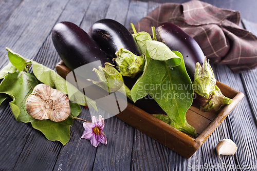 Image of Raw eggplants ( aubergines ) in wooden box. Selective focus