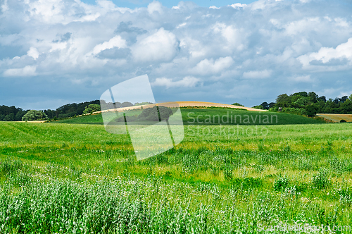 Image of Vast green fields with rolling hills under a cloudy sky in a rur