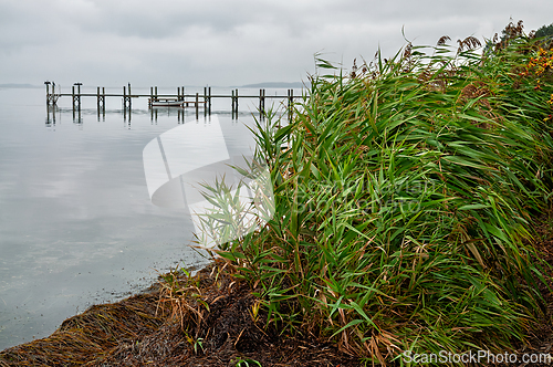 Image of Calm waters with a wooden pier and lush greenery on a cloudy day