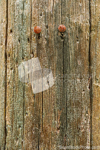 Image of Weathered wooden surface with rusted nails and unique textures i