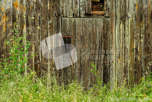Image of Rustic wooden door set against overgrown grass in a weathered fa