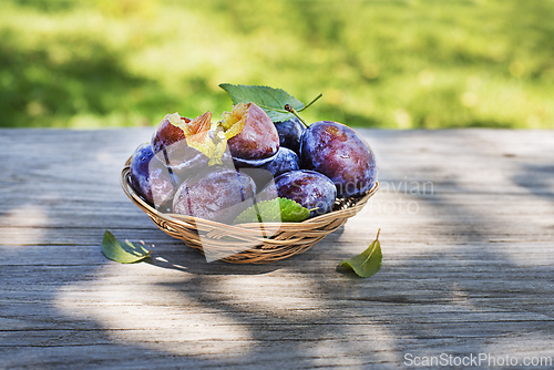 Image of Plums fruit