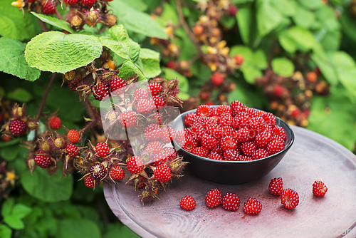 Image of Raspberry wineberries