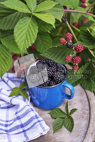 Image of Blackberry