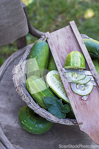 Image of Cucumber harvest salad