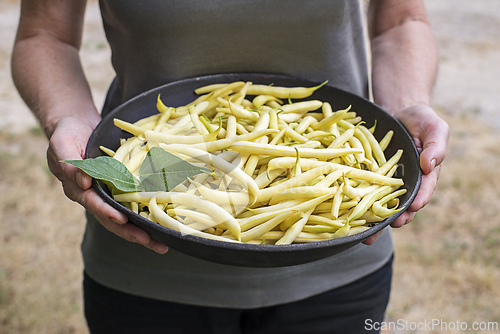 Image of Yellow string beans