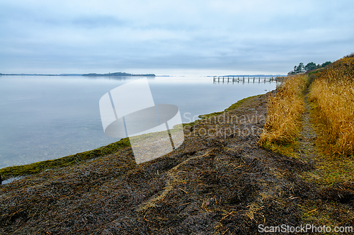 Image of Calm shoreline at dawn with fog over the water and a distant pie