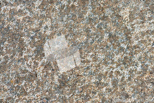 Image of Textured stone surface showcasing intricate patterns and hues in