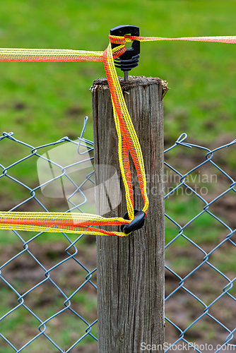 Image of Fence post with bright tape securing wire mesh in outdoor settin