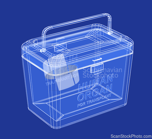 Image of 3D wire-frame model of human organ transport box