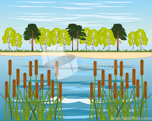 Image of Bright colorful landscape big yard year daytime