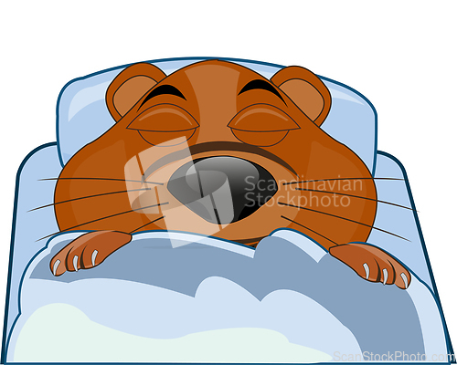 Image of Comic drawing of the wildlife woodchuck sleeping under blanket
