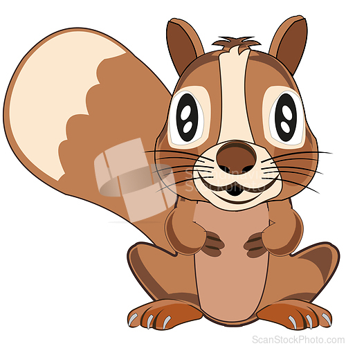 Image of Wildlife rodent squirrel on white background is insulated