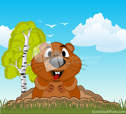 Image of Animal woodchuck beside burrow swarm year daytime