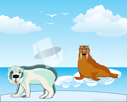Image of Arctic landscape with animal walrus and polar bear