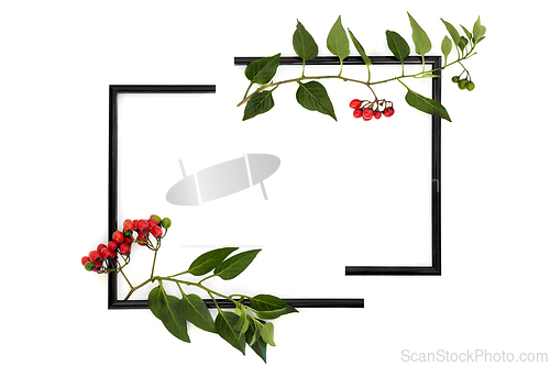 Image of Deadly Nightshade Atropa Belladonna Abstract Background  
