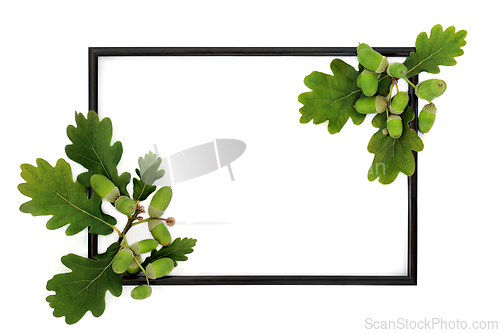 Image of Natural Green Oak Leaf and Acorn Background Border Frame