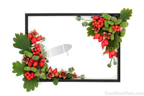 Image of Autumn Berry Fruit and Oak Leaf Background Border Frame 