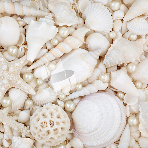 Image of Beautiful White Seashells and Oyster Pearl Decorative Background
