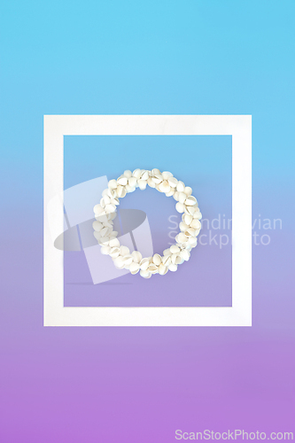 Image of Cockleshell Seashell Wreath Minimal Abstract Frame