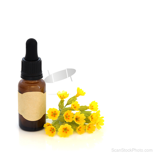 Image of Cowslip Flowers Alternative Herbal Medicine Flower Essence