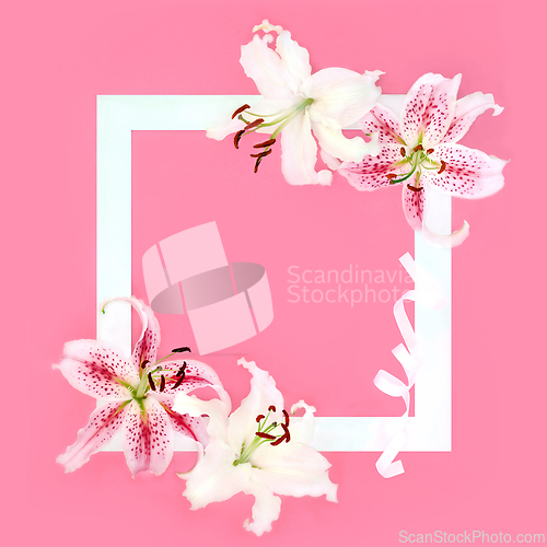 Image of Lily Flower Background Border Floral Frame Design