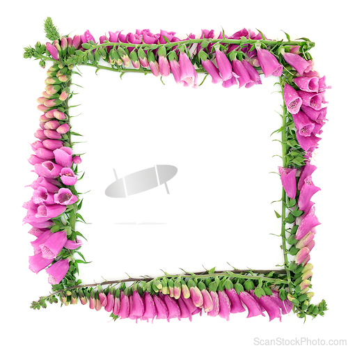 Image of Foxglove Flowers for Summer Nature Background Border 