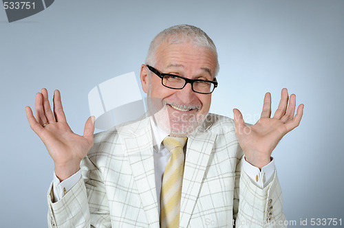 Image of Happy senior businessman