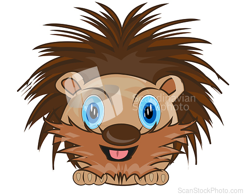 Image of Wildlife porcupine on white background is insulated