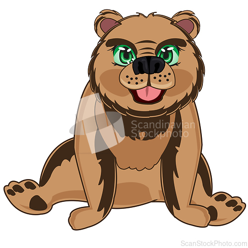 Image of Brown bear sits on white background is insulated