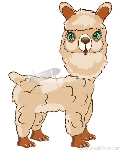 Image of Animal alpaca on white background is insulated