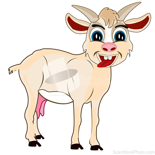 Image of Home animal nanny goat on white background is insulated