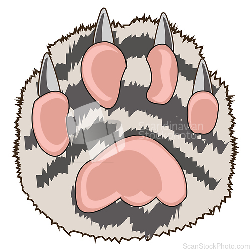 Image of Paw animal on white background is insulated