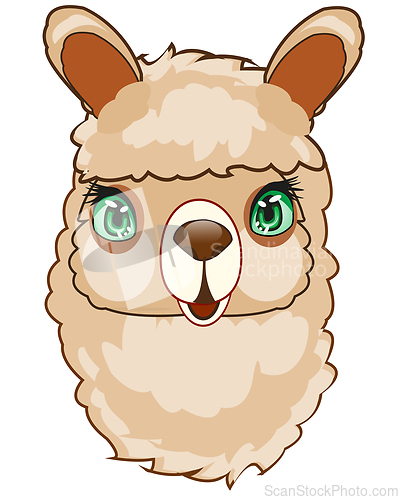 Image of Animal alpaca on white background is insulated