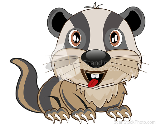 Image of Wildlife badger on white background is insulated
