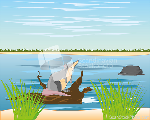 Image of Big river landscape and animal desman on snag