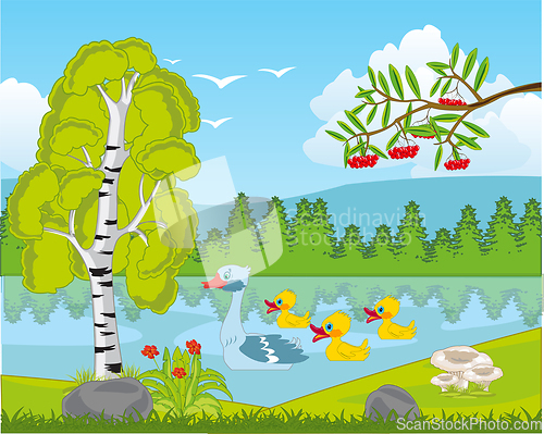 Image of Beautiful landscape lake in wood year daytime
