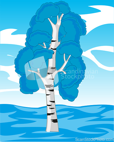 Image of Solitary tree birch on glade in winter