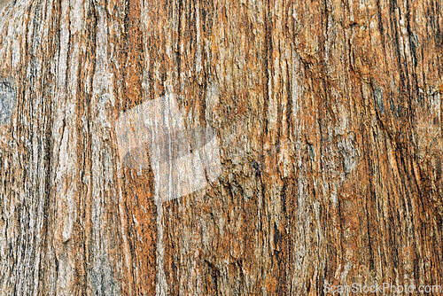 Image of Close-up view of textured rock surface showcasing natural patter
