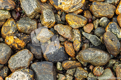Image of Colorful stones scattered along a rugged shoreline near the ocea