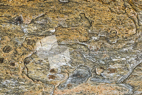 Image of Natural rock formation showcasing intricate textures and pattern