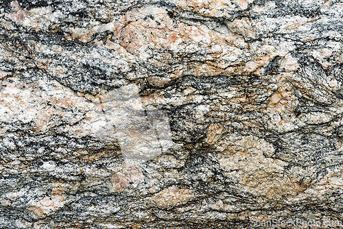 Image of Textured rock surface showcasing intricate patterns and colors i