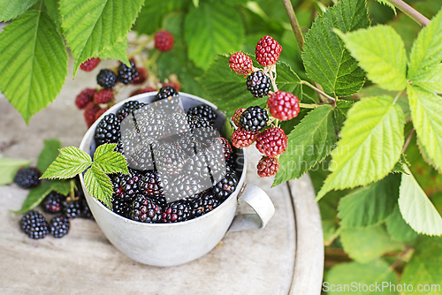 Image of Blackberry