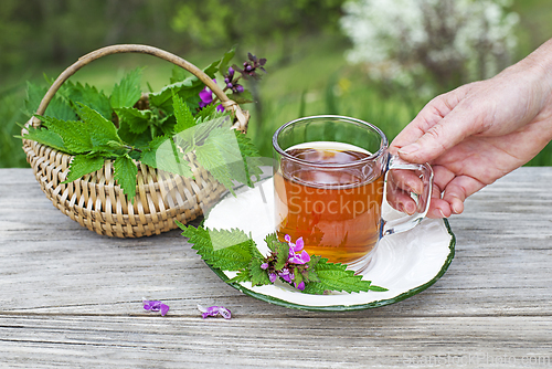 Image of Nettle tea