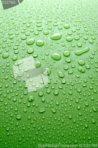 Image of water drops on a green background