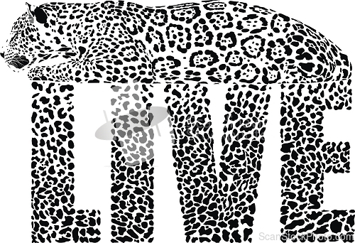 Image of LIVE Leopard