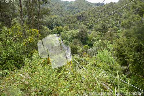 Image of Buller River in New Zealand