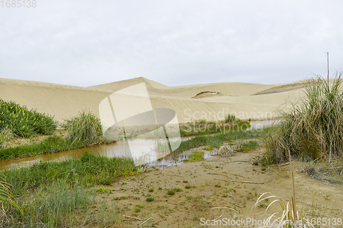 Image of Te Paki Sand Dunes
