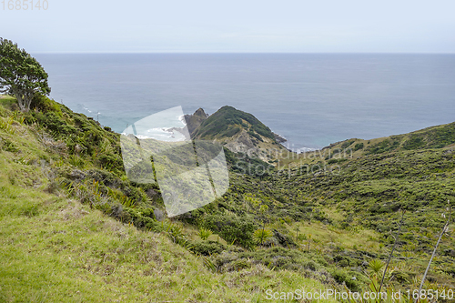 Image of Cape Reinga in New Zealand