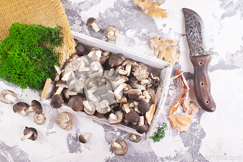 Image of raw mushrooms on white tray on a table